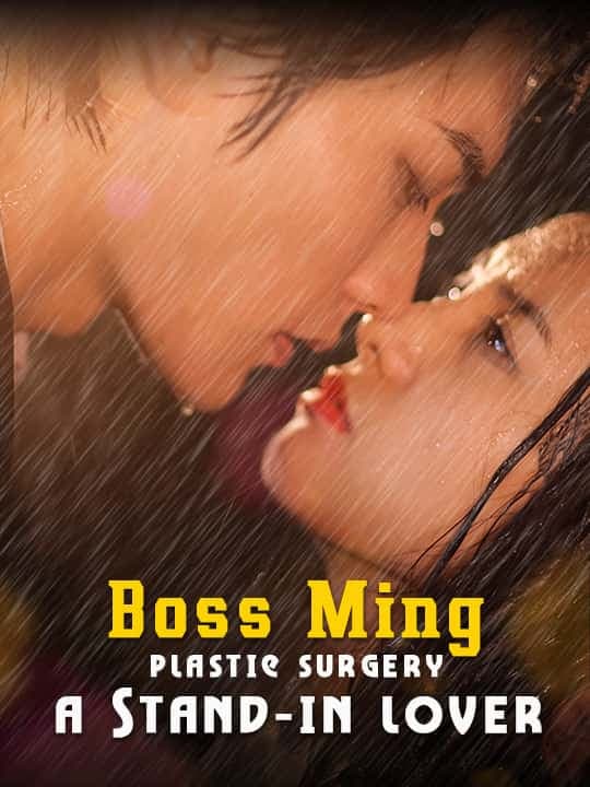 image-Boss Ming a Stand-in lover