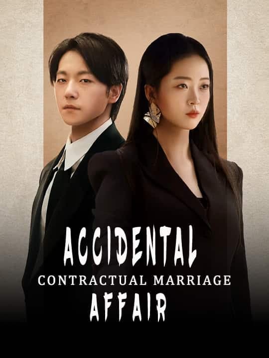 image-Accidental Affair